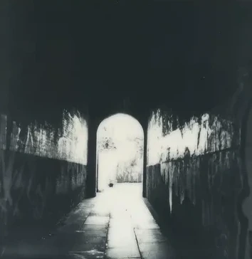 Sanctuary