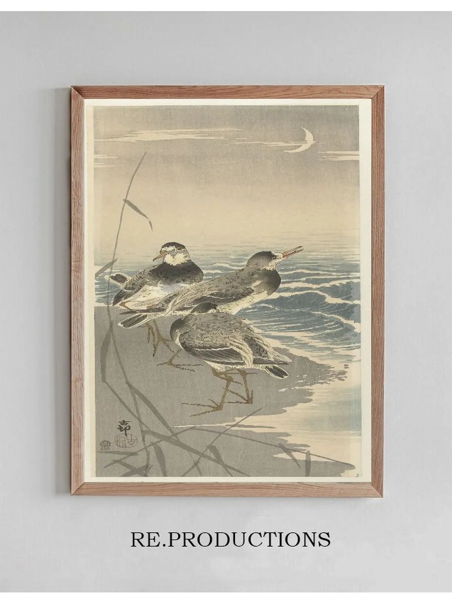 Sandpipers at Sickle Moon