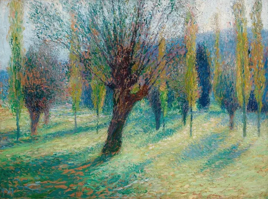 Saules Dans la Vall E du Vert