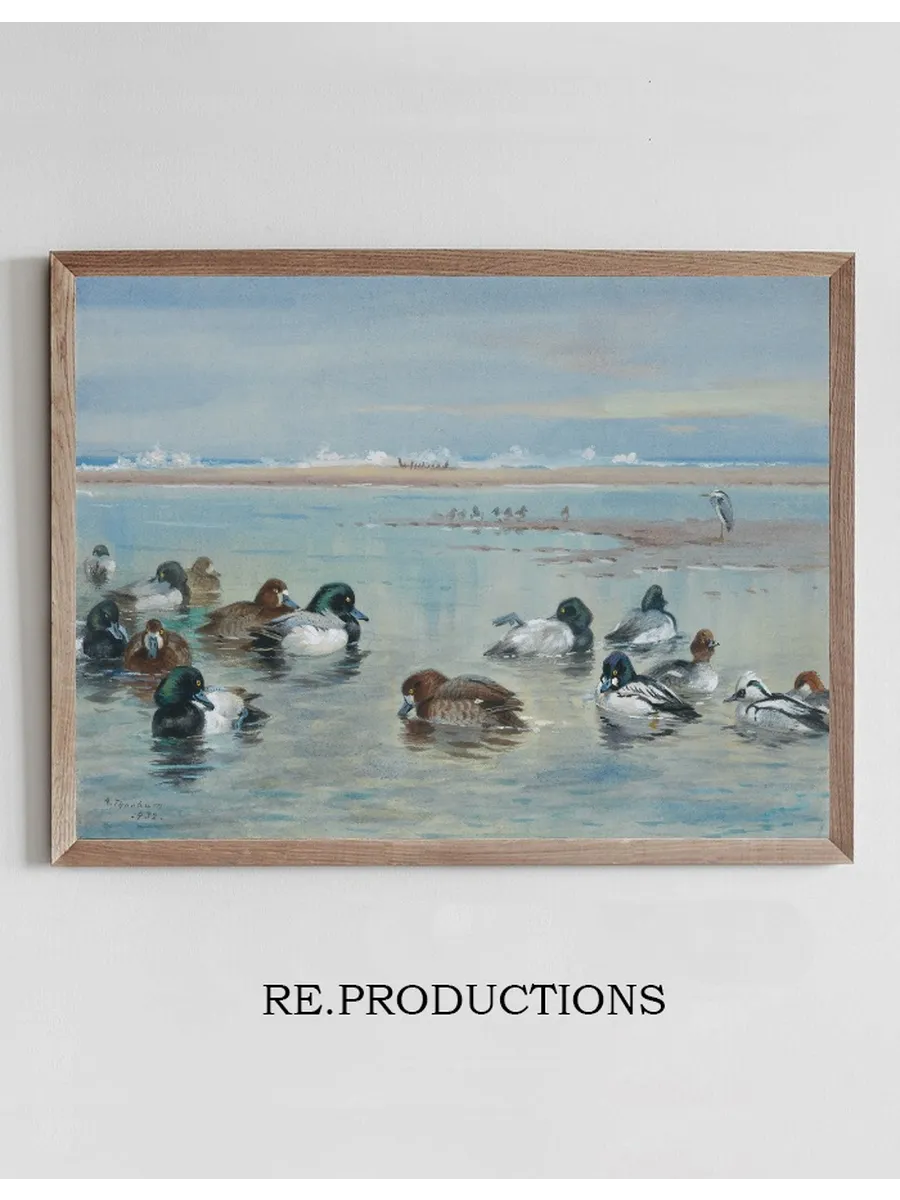 Scaup, Golden Eye and Smew