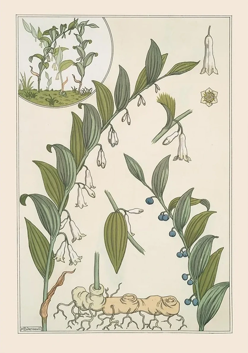 Sceau de Salomon