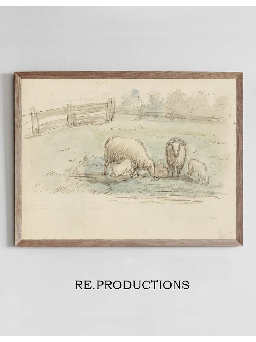 Schapen in Een Weide