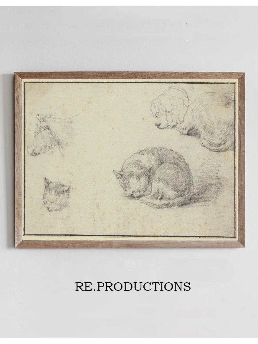Schlafende Katze Und Hund, Ein Kuhkopf Und Ein Katzenkopf