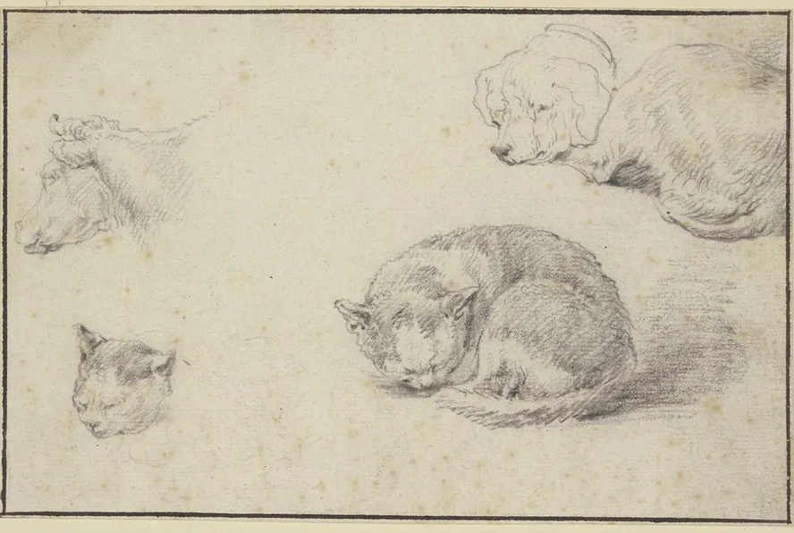 Schlafende Katze Und Hund, Ein Kuhkopf Und Ein Katzenkopf