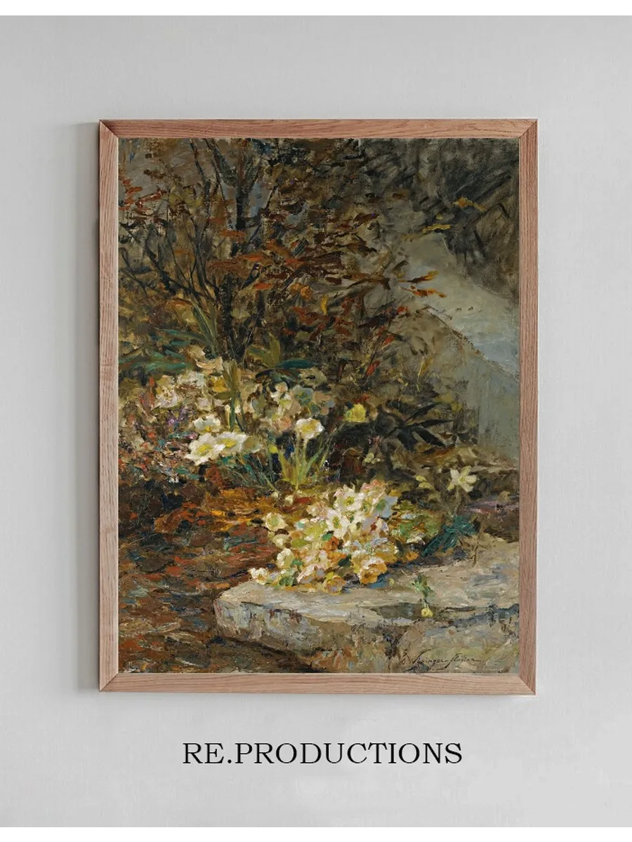 Schneerosen (hellebores)