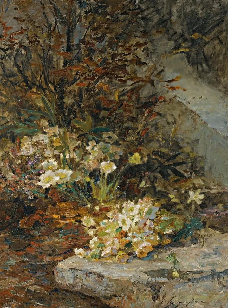 Schneerosen (hellebores)