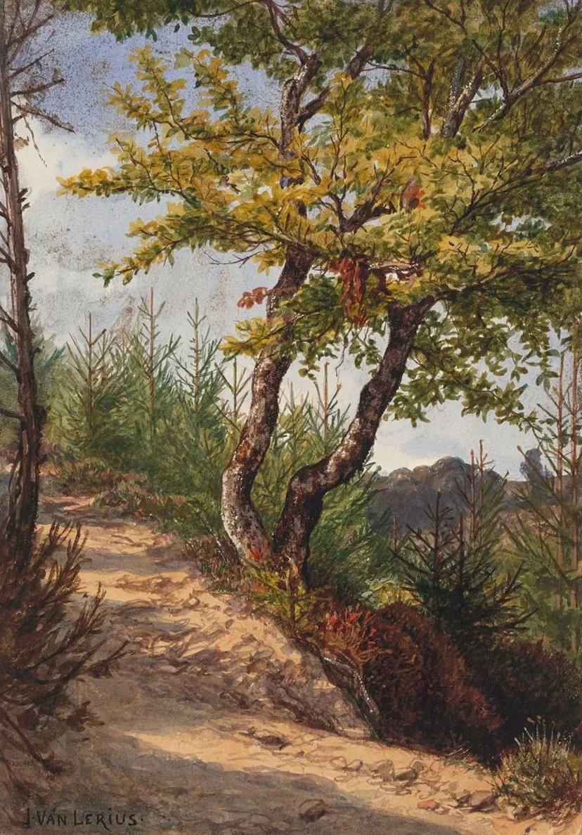 Schwalbach Nassau