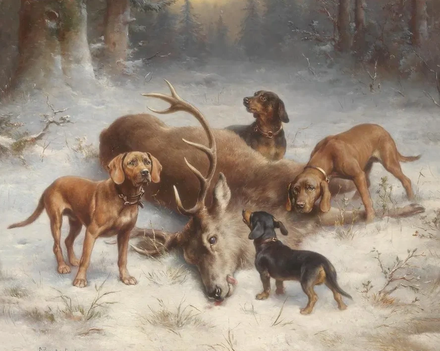 Schwei Hunde Mit Erlegtem Hirsch