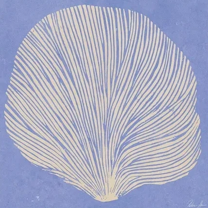 Sea Lavender
