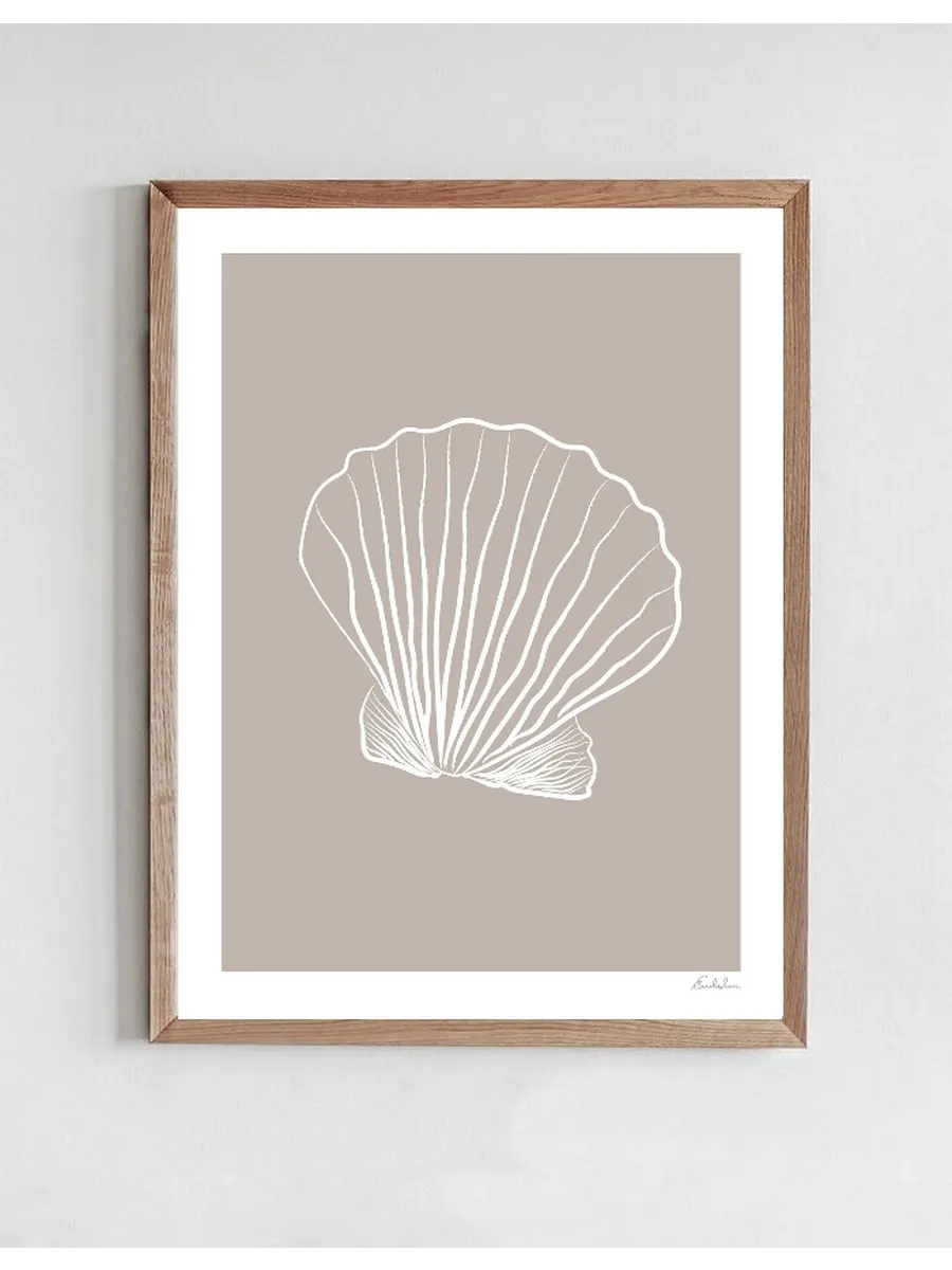 Seashell 01