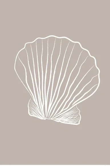 Seashell 01