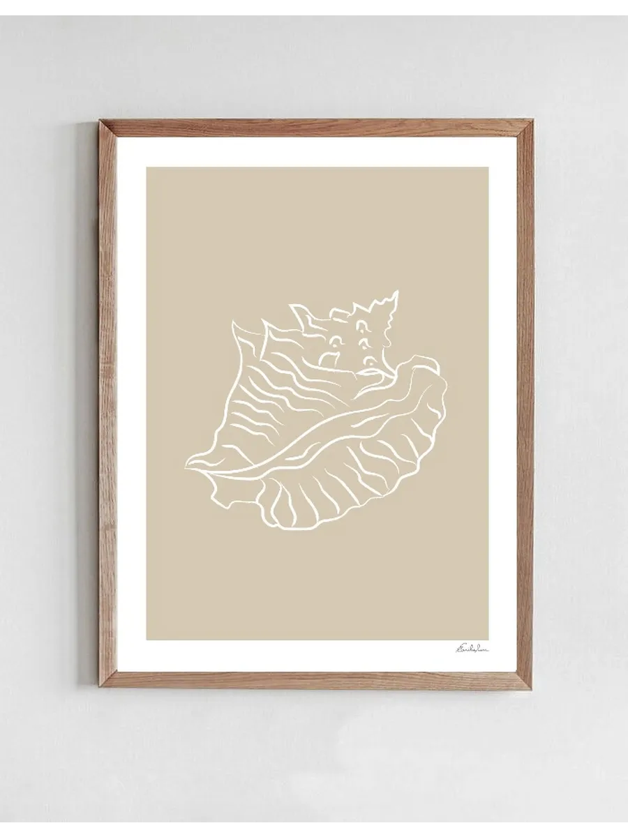 Seashell 02
