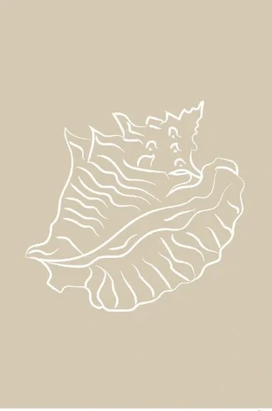 Seashell 02