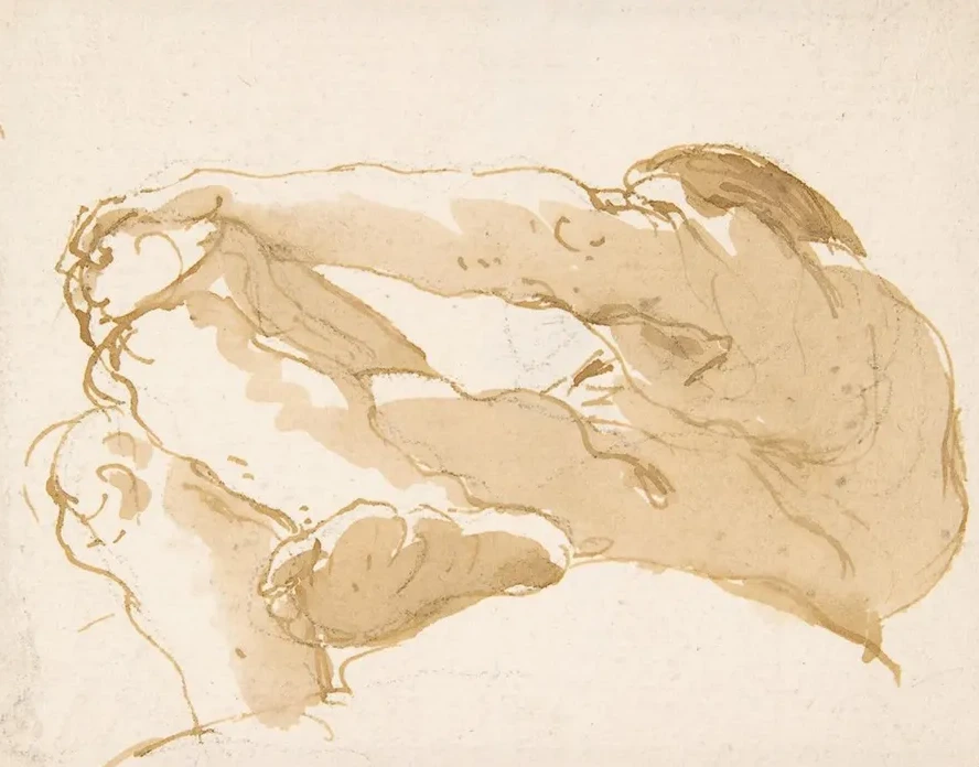 Seated Man Turned Towards the Left Seen from Below