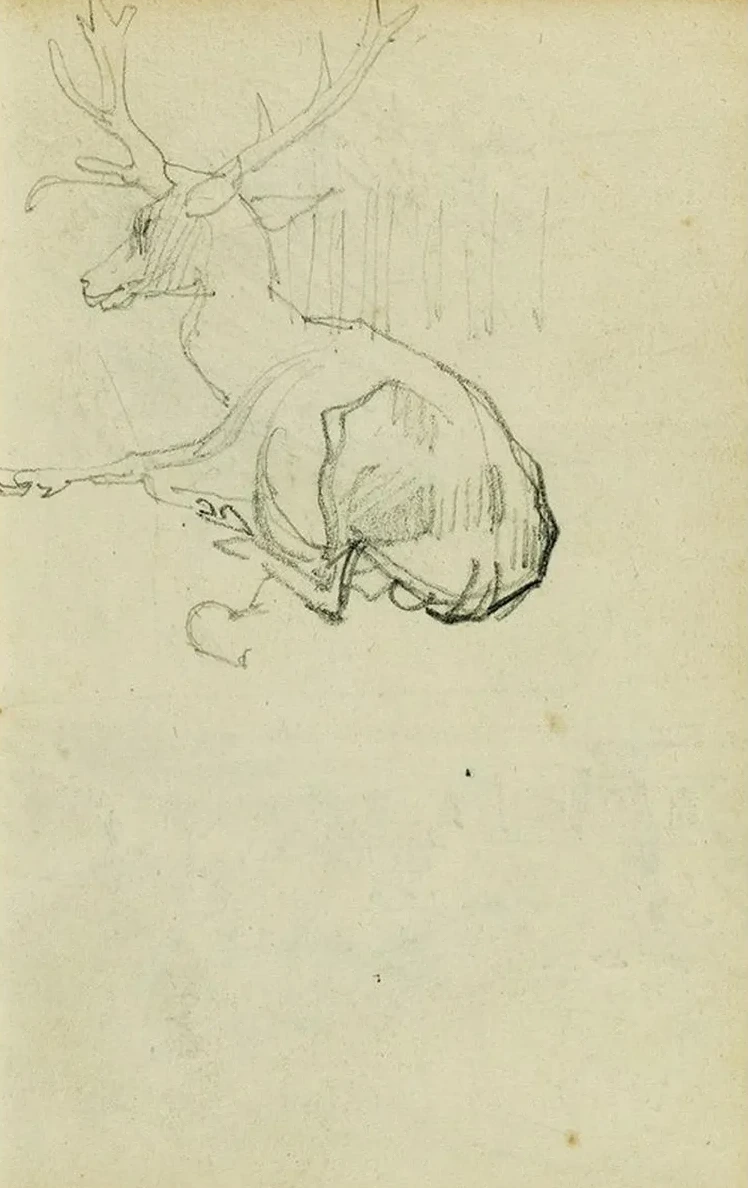 Seated Stag