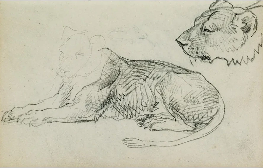 Seated Lion, Head of Lioness