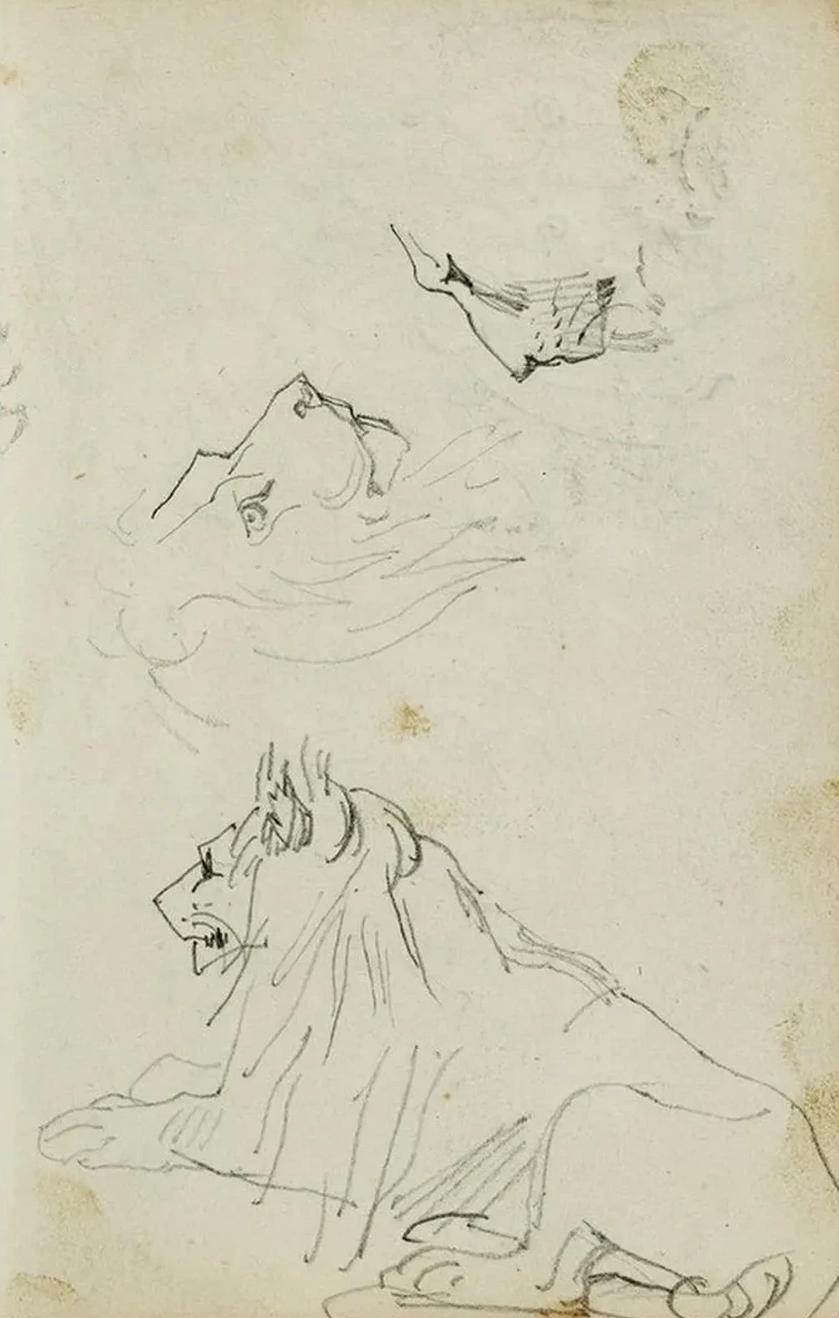 Seated Lion, Two Lion Head Studies