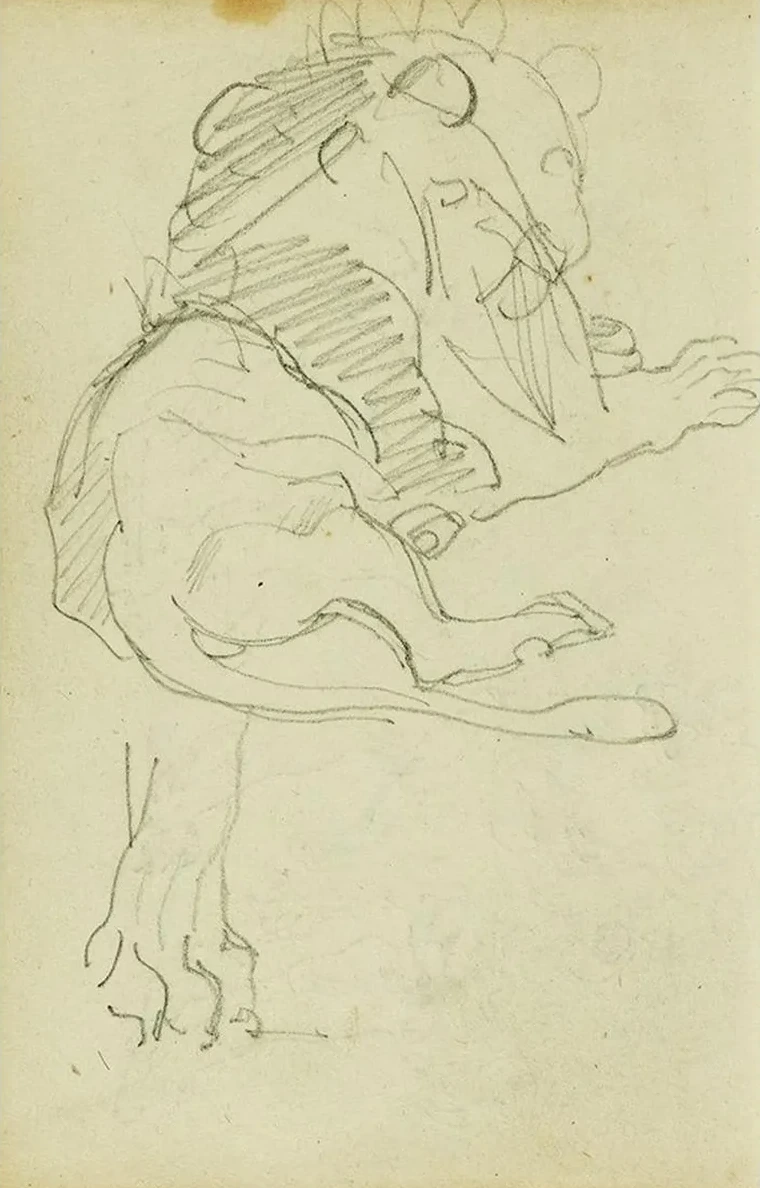 Seated Lion