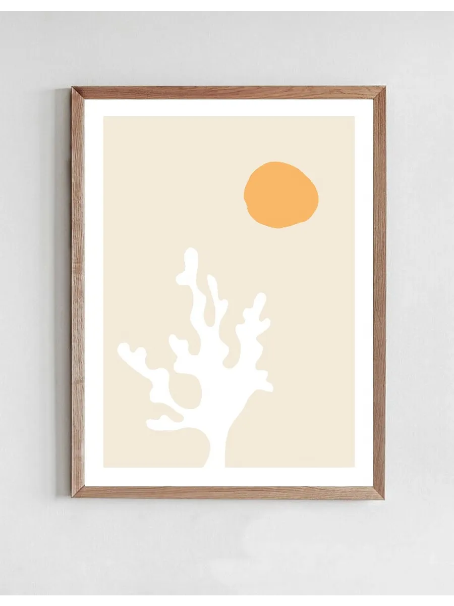 Seaweed in the Sun