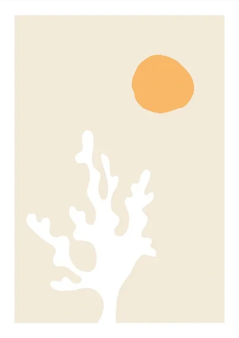 Seaweed in the Sun