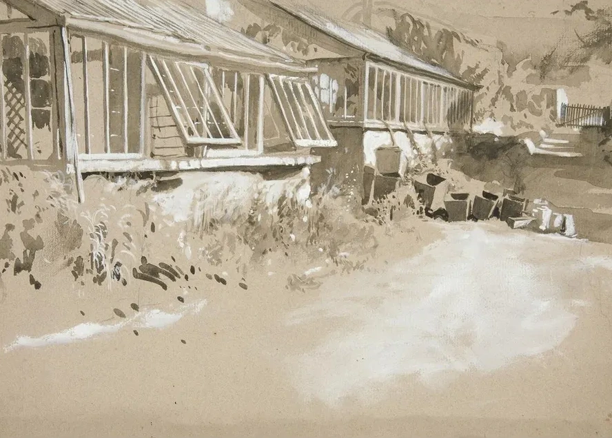 Shacks andShrubs