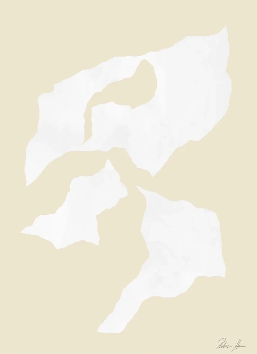 Shadow No