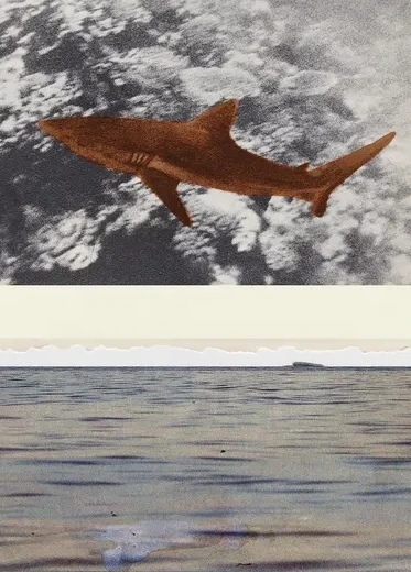 Shark Bay