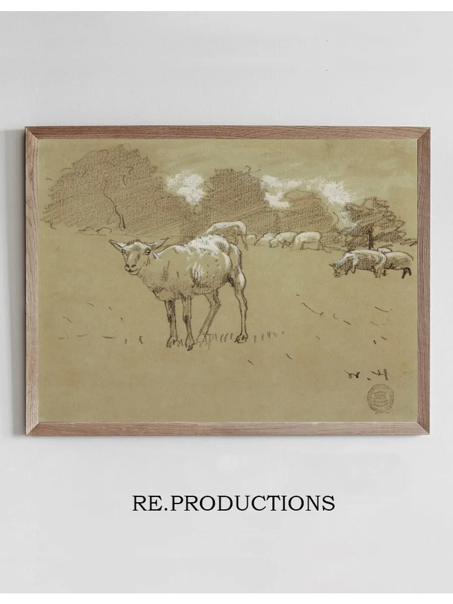 Sheep Grazing in a Field