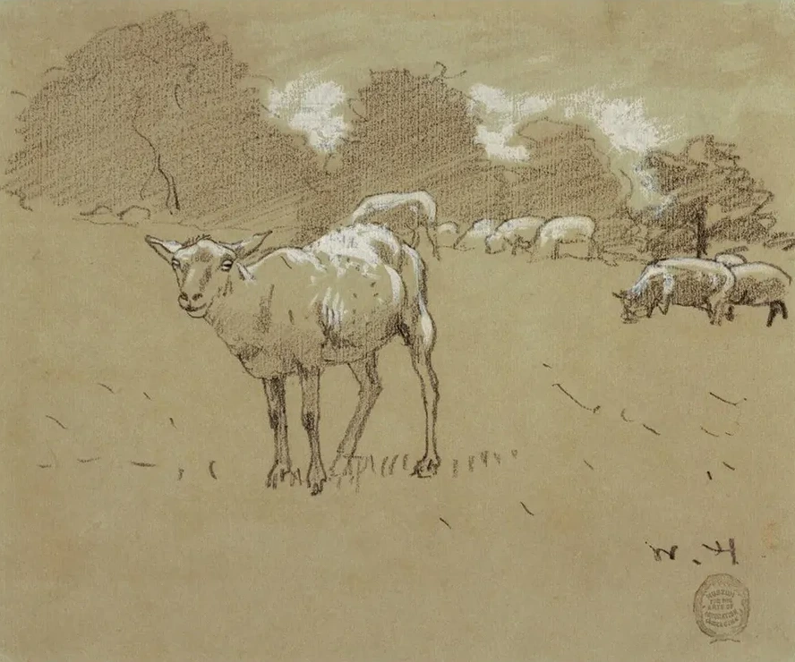 Sheep Grazing in a Field