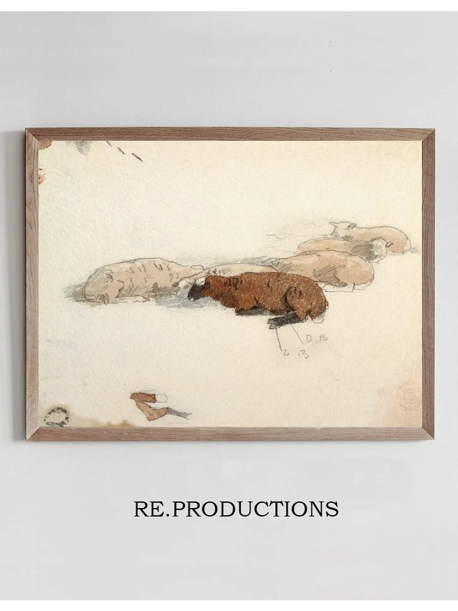 Sheep Resting