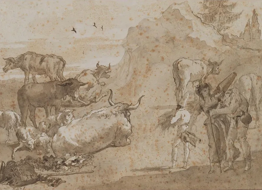 Sheep and Cows