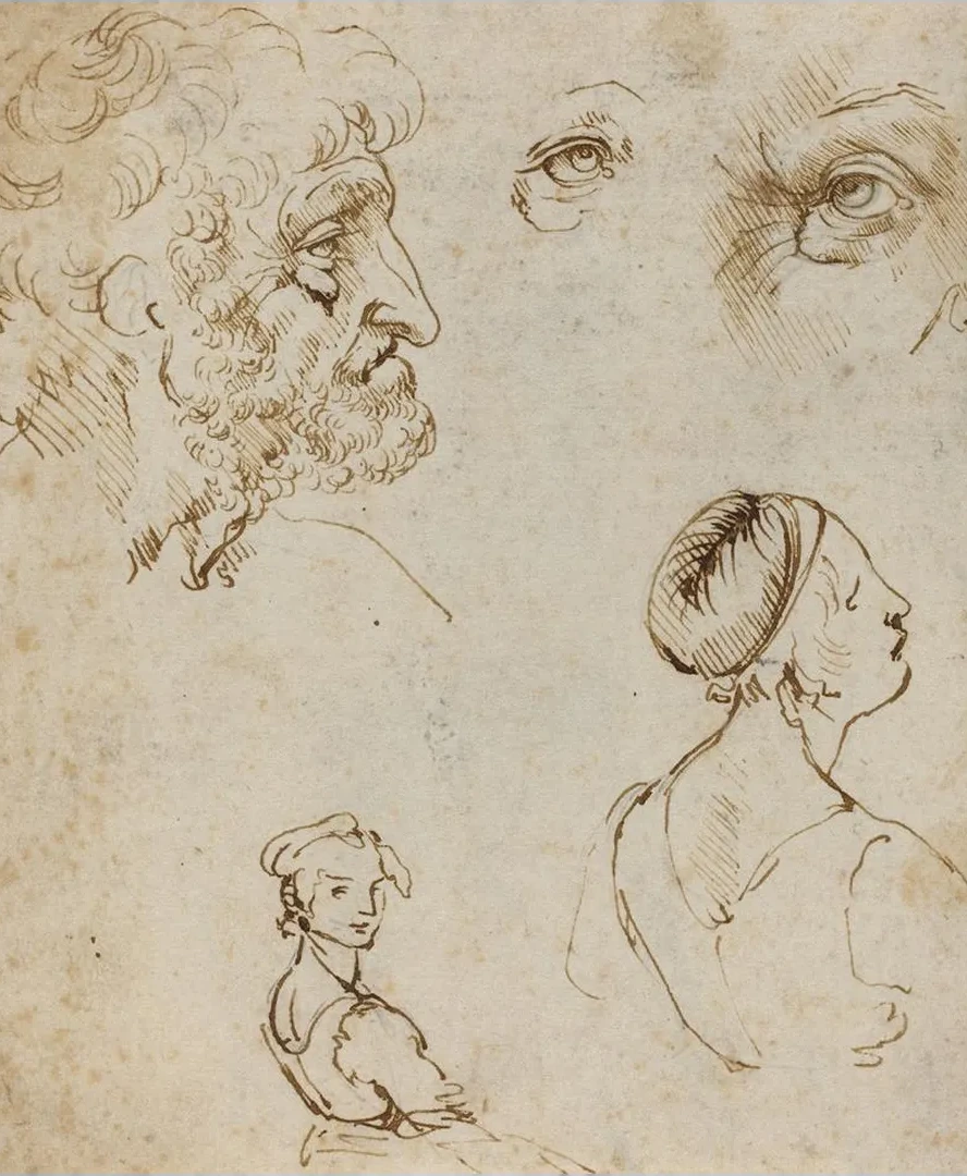 Sheet of Studies