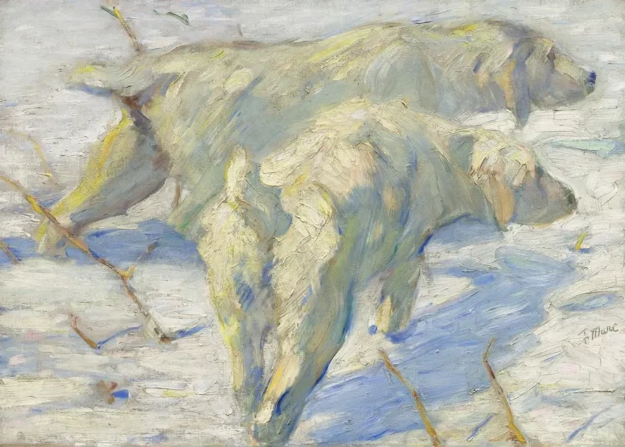 Siberian Dogs in the Snow