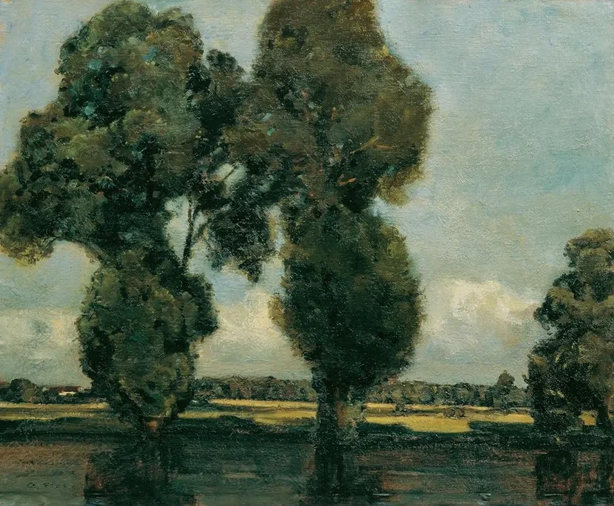 Silberpappeln