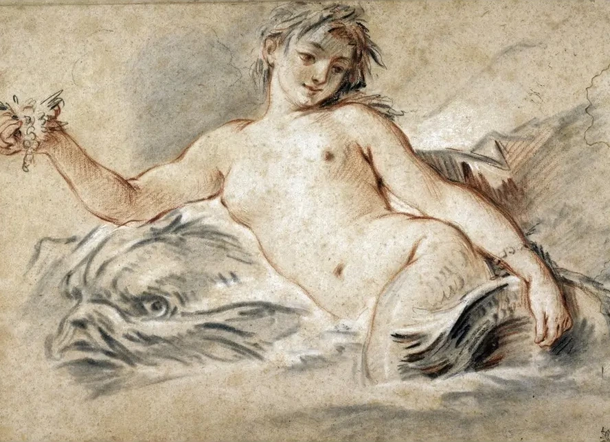 Sir Ne Couch E Sur Un Dauphin