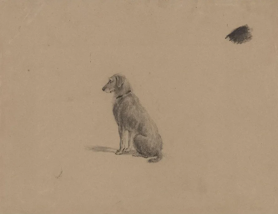 Sitting Dog
