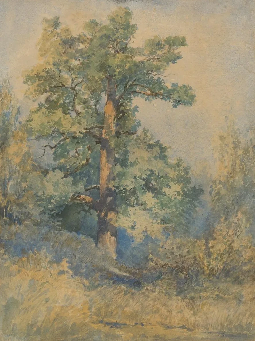 Sketch of a Tree