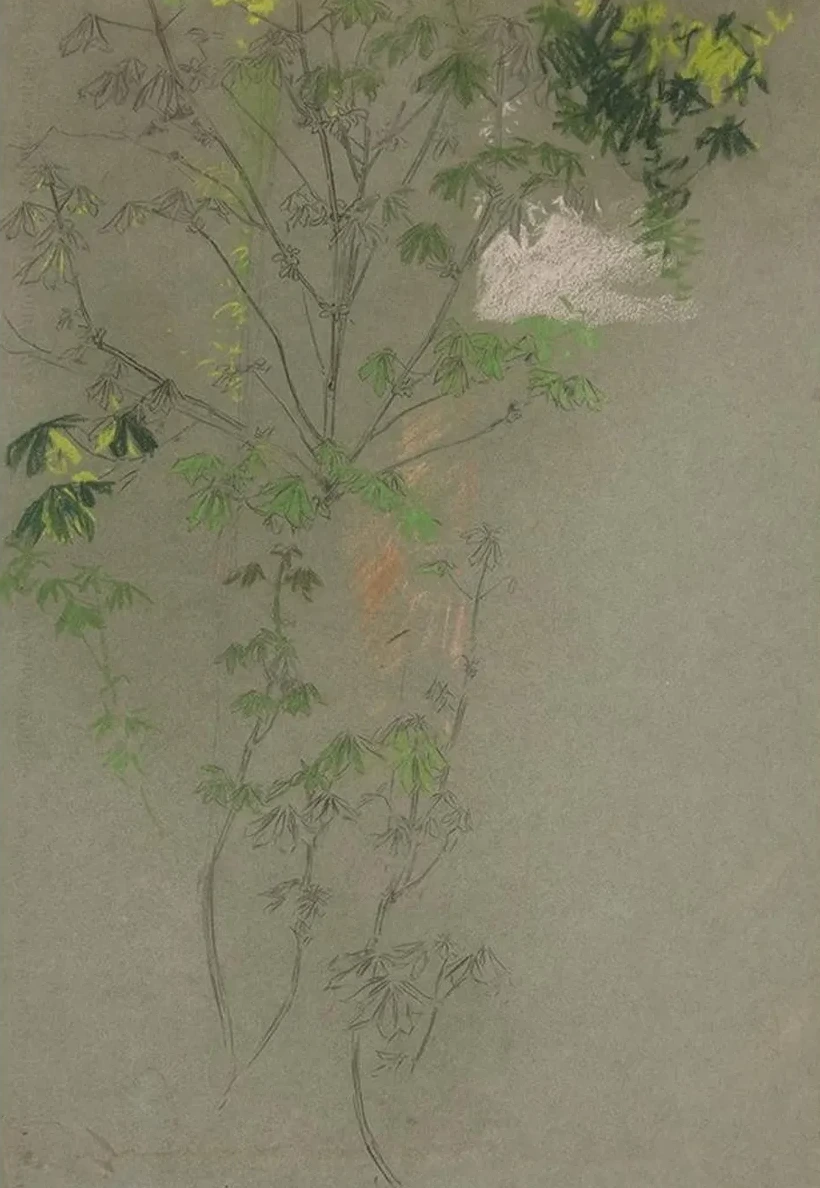 Sketch of Leafing Treebranches