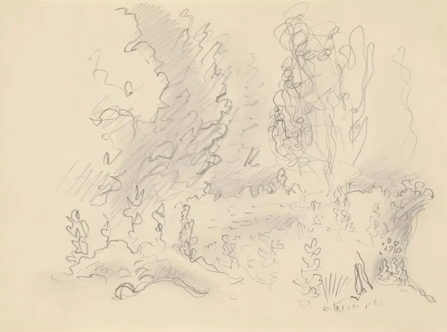 Sketchbook