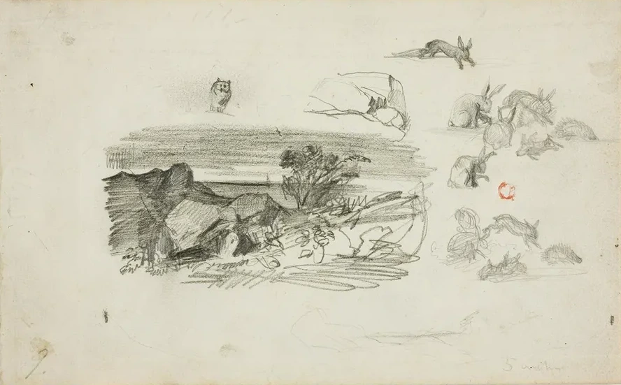 Sketches Rocky Setting and Rabbits