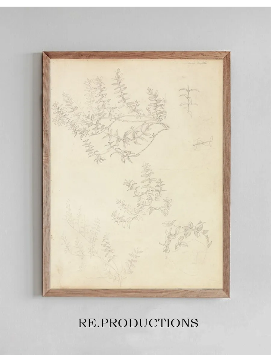 Sketches of Myrtle and a Head Crowned with Myrtle