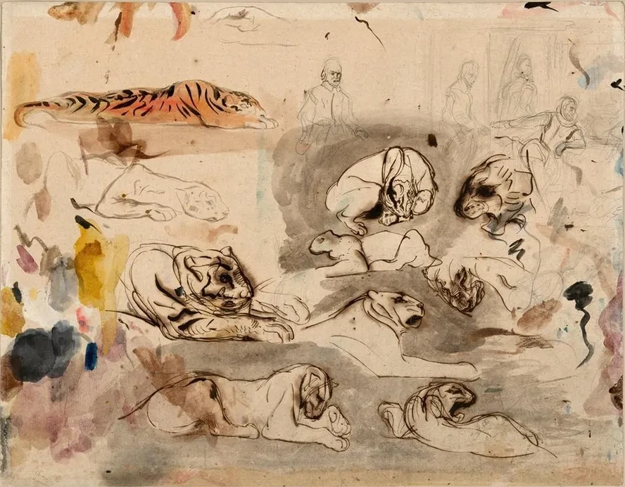 Sketches of Tigers and Men in 16th Century Costume