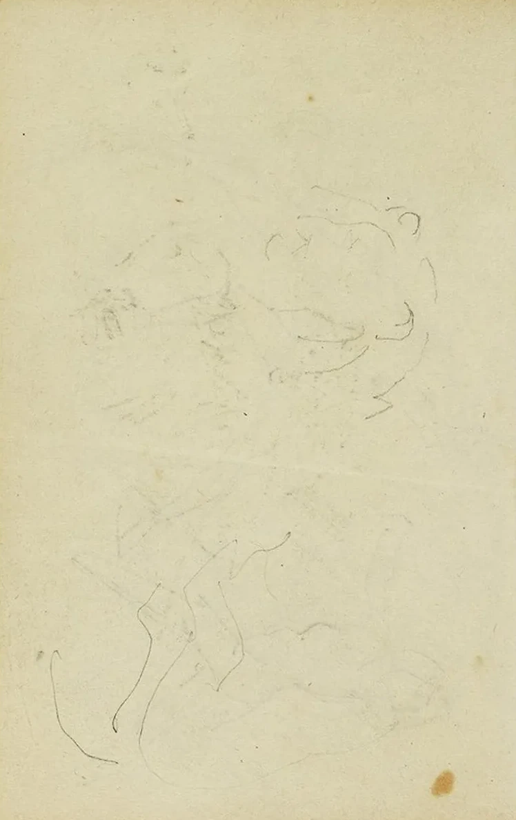 Sketches of Head and Hind Legs of a Lion