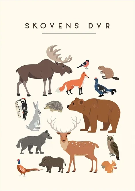 Skovens Dyr Borneplakat
