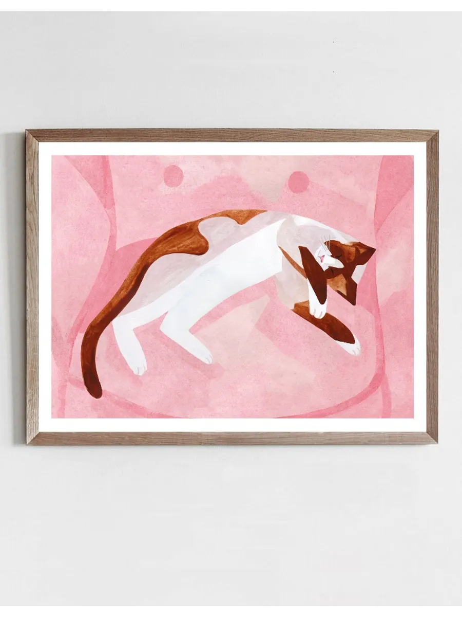 Sleeping Cat