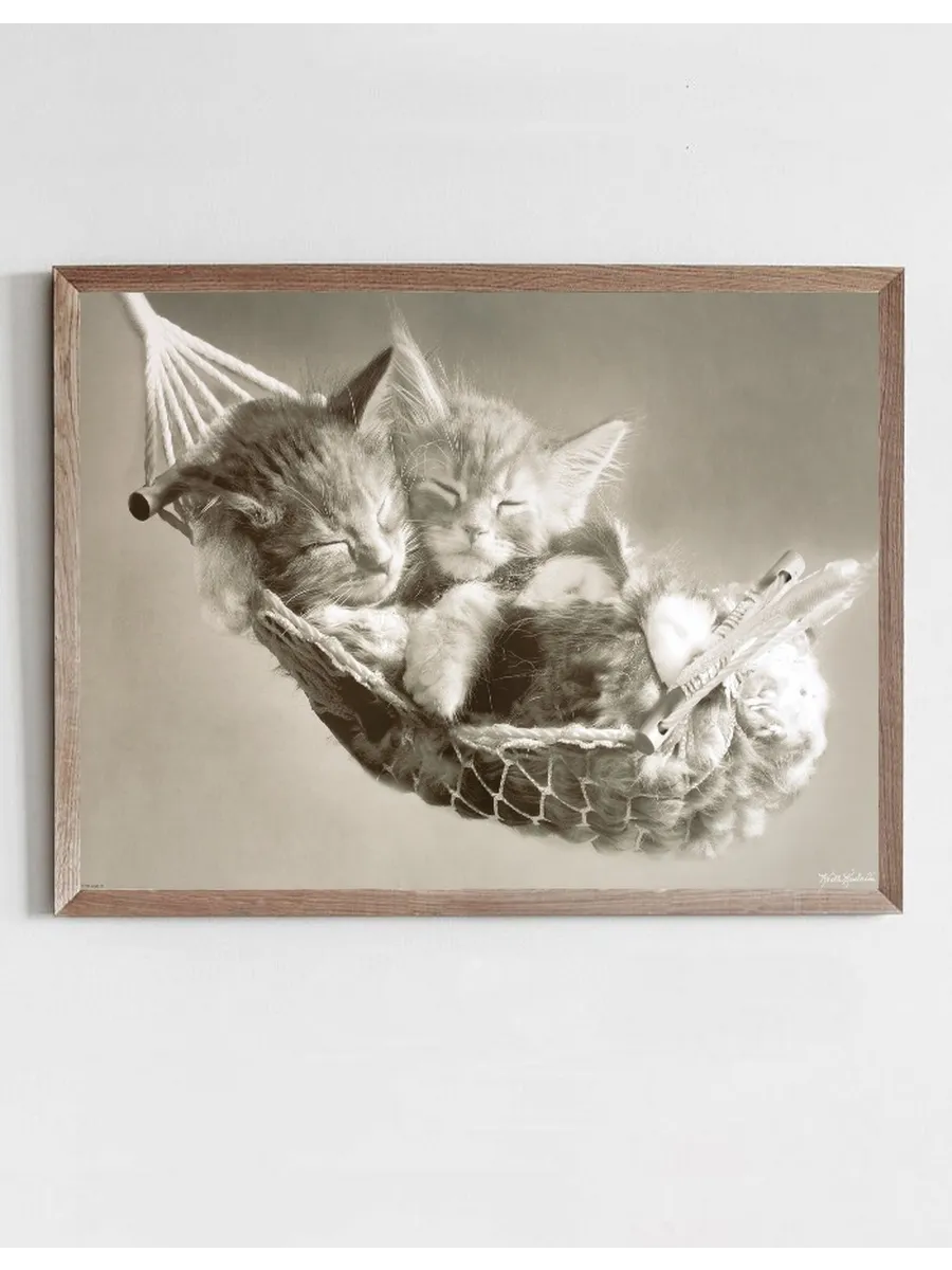 Sleeping Cats