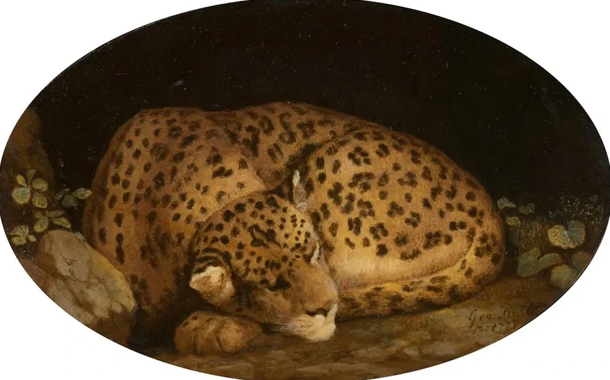 Sleeping Leopard
