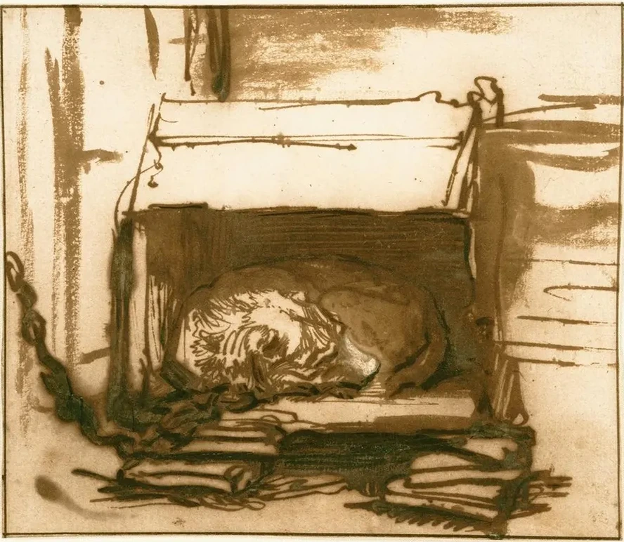 Sleeping Watchdog