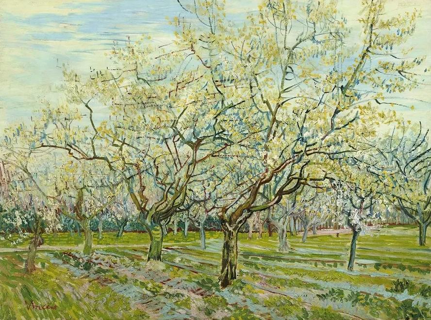 Small Pear Tree in Blossom