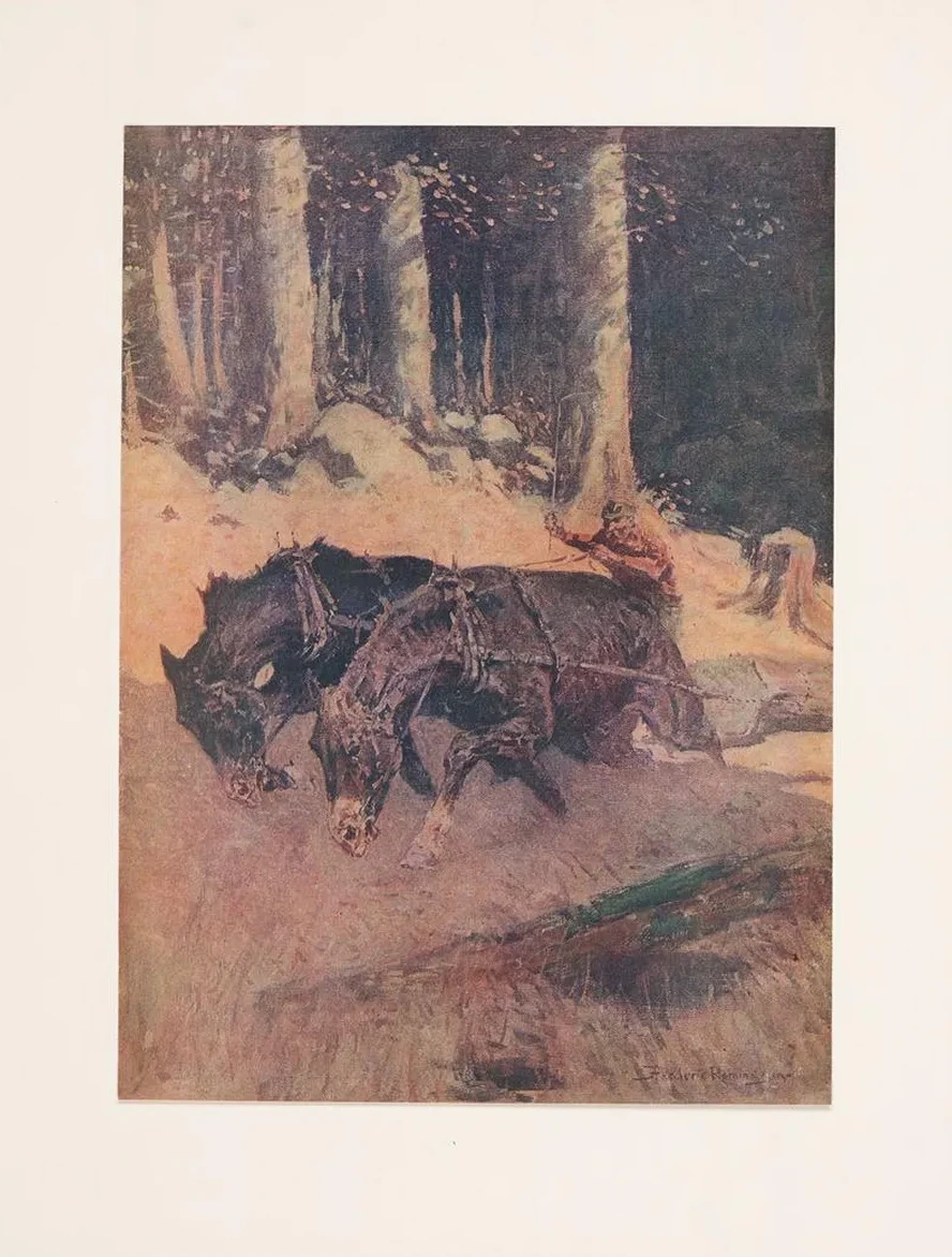 Snaking Logs to the Skidway